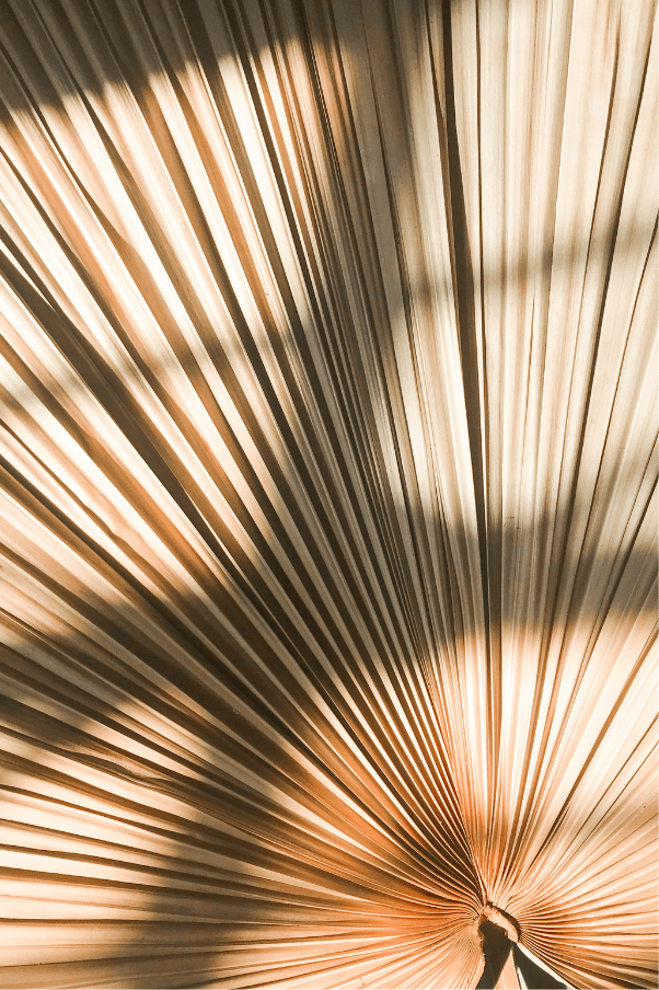 Diplôme et certifications de Lucile Poch, hypnothérapeute diplômée à Paris et installée à Montpellier